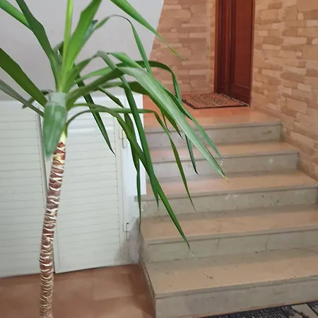 Hotel apartamentowy Bingo 1 Completo *